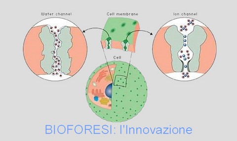 bioforesi veicolazione transdermica innovo